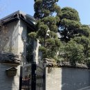 헤세드