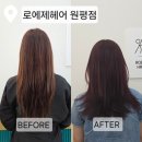로에제헤어 | [구미미용실 추천] 원찬원장 허쉬컷&염색 솔직 후기✨ 염색 잘하는 로에제헤어 리뷰