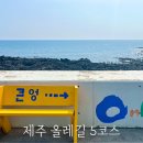 [제주] 초보자 올레길 5코스 편도1시간 : 남원포구 남원큰엉산책로 한반도포토존