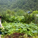 갈맷길(9코스) 이미지