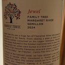 패밀리트리(family tree) 이미지