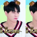 아미고 이미지
