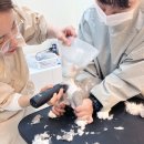 고양이 이발관 이미지