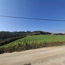 시골옻닭 | 당진 신평면 소재 사계절 몸보신하기 좋은 현지인 백숙, 옻닭 숨은 추천 맛집 &#34;한솔정&#34; 방문 솔직 후기