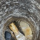 화성-남양-5호 이미지