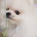 계족산로52번길 이미지