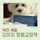 도그미 | 강아지책 디코딩유어도그 후기 반려견심리 이해에 도움된 책