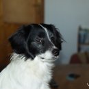 갈매동물병원 이미지