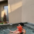 인더플럼 이미지