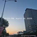 솔미약국 이미지