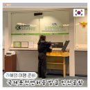 인천공항 국제운전면허증 발급 소요시간 미국 일본 렌트카 여행 준비