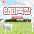 대방 품태권도장 이미지