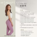 머슬베어pt 신길점 이미지