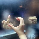 하담약국 이미지