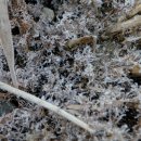 소양공원 이미지