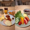 오로라 | 핀란드 레비 오로라 스키장 후기