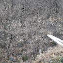 장연면사무소 이미지