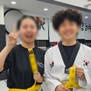 서울 은평 태권도 이미지