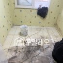 모충주공1단지경로당 | 누수 고민 끝! 바닥 전체 철거 없이 당일 해결 가능한 홈파기공법! 청주 서원 모충 주공1단지 아파트 현장