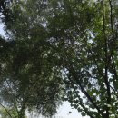 시청남로 이미지