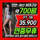 나이스 바디 PT | 아산 헬스장 PT 체계적으로 받아 본 후기!