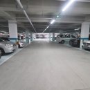 유성책임공인중개사사무소 이미지