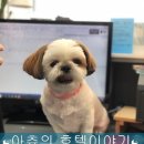 더조은 동물의료센터 이미지