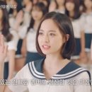 아이돌