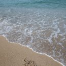 낙산관광안내소 | 1박 2일 낙산 뚜벅이 여행 2일차 (with 아기기린🦒) -낙산사 안의 바다뷰 카페! 완죠니 추천이쟈나.