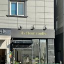 아일리플레르