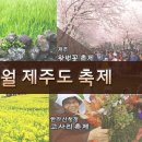 두구두구~~ 이히~ 4월 제주도축제 소식 입니돳! 이미지