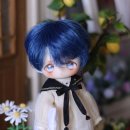 I DOLL 이미지