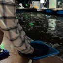 놀이터 실내낚시카페 | 특별한 일산놀거리ㅣ놀이터실내낚시카페 화정역점