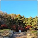 봉의산 순의비 이미지