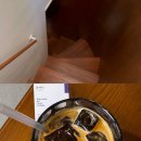 프룻보이