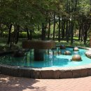 국채보상로 이미지