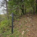 내포장식 이미지