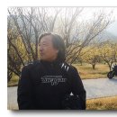 계척 Daum카페