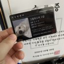 주식회사 아이언가이즈 - 38527 | 주식회사 아이언가이즈