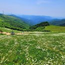 육백마지기 이미지