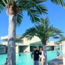 엘리스테이보령 이미지