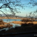 복하천 2 이미지