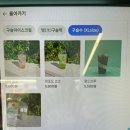 구슬스 홍대점 이미지