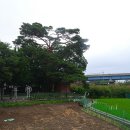 수로부인길 이미지