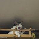 김재기이비인후과의원 이미지