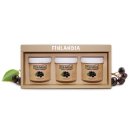 핀란디아 이미지