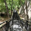 홍릉초교 이미지