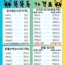 똑똑 애견유치원 이미지