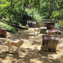 용만농장 이미지