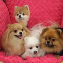 엘리하우스 이미지